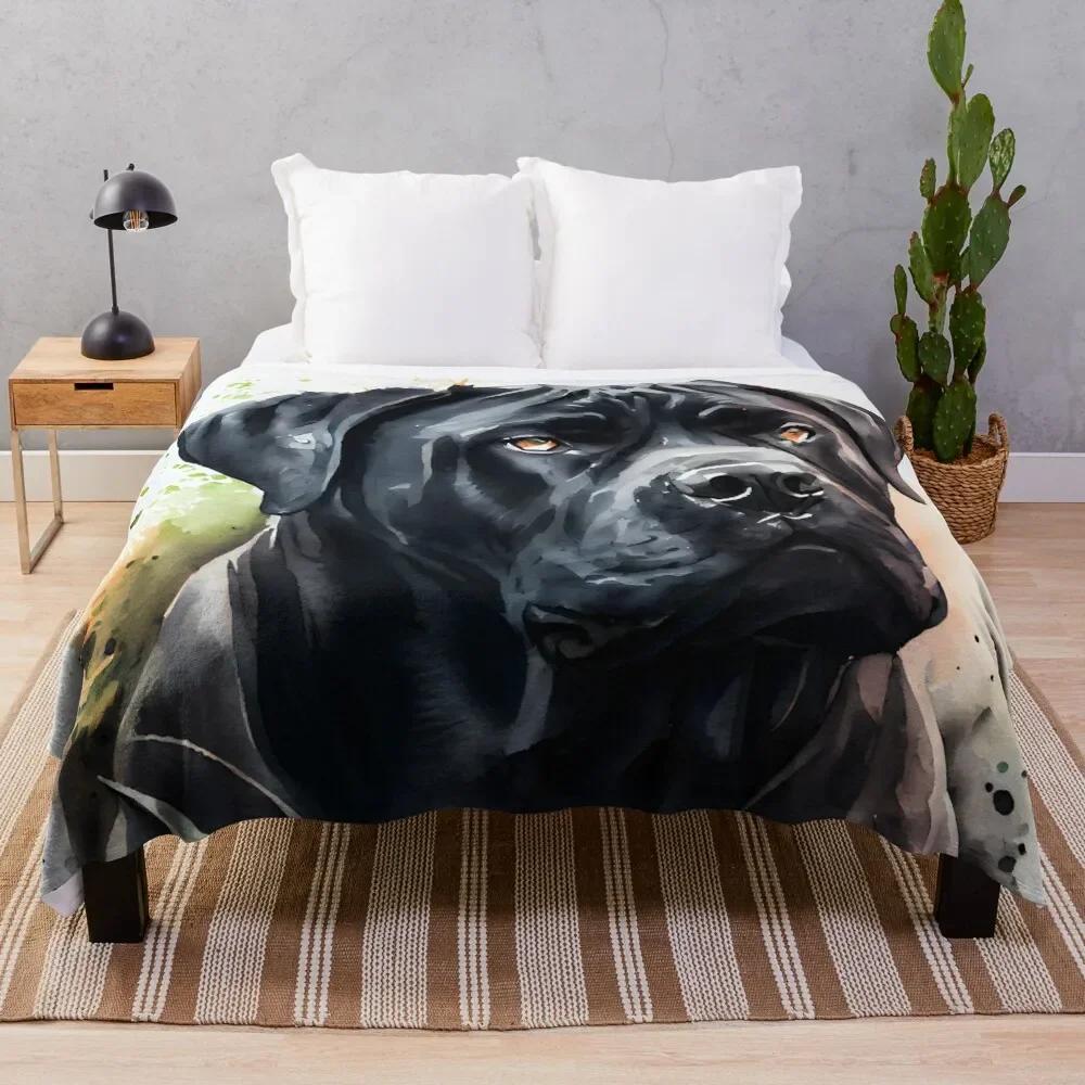   ڸ äȭ ʻȭ  , ö,  ħ, ſ ε巯 ū 
